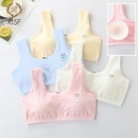 ราคา ลดราคา เสื้อชั้นในกีฬาสำหรับชุดชั้นในฝึกซ้อมสำหรับผู้หญิงอายุ 8 16 ปี เสื้อกล้ามเด็กผู้หญิงวัยรุ่น เสื้อชั้นในกีฬาสำหรับเด็กผู้หญิง เสื้อสำหรับเด็กผู้หญิง ชุดชั้นในเด็ก ServePro (50801336198)