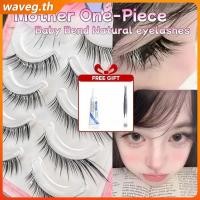 ราคา ของขวัญฟรีขนตาปลอมเดี่ยวสำหรับเด็ก ขนตาปลอมโค้ง ก้านแข็งธรรมชาติ ขนตาปลอมตรงสำหรับเด็ก ขนตาปลอมสำหรับมือใหม่ WAVETH (42420208093)