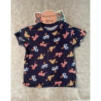 ราคา เสื้อยืดแขนสั้นคอกลมลาย Paw Patrol ของเด็กมือสอง สีกรมท่า Size 100 แบรนด์ Paw Patrol ของแท้ สภาพ 85 (40810877947)