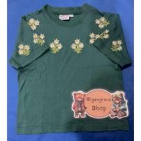 ราคา เสื้อยืดคอกลมแขนสั้นของเด็กมือสอง สีเขียว Size 150 แบรนด์ Swiss ALP Fantasy ของแท้ สภาพ 85 (27463373007)