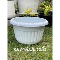 ราคา กระถางต้นไม้กลม ทรงโรมัน กว้าง10นิ้ว สูง6 5นิ้ว พลาสติกหนา แข็งแรง ทนทาน (27336047990)