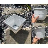 ราคา กระถางต้นไม้ทรงโรมัน 8 5 10นิ้ว (41911750268)