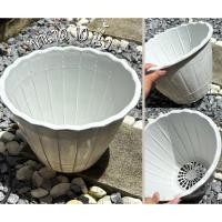 ราคา กระถางต้นไม้ปากหยัก 10นิ้ว (25746997050)