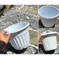 ราคา กระถางกลมโรมันสีขาว ขนาด9 9 5 นิ้ว (28941592233)