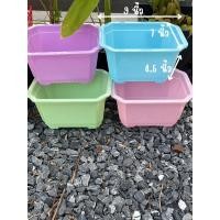 ราคา กระถางดอกไม้ ทรงสี่เหลี่ยม สีพาสเทล (43150330828)