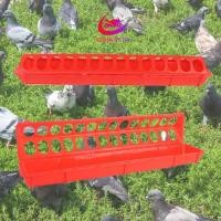 ราคา เครื่องป้อนสัตว์ปีกในร่มที่แข็งแกร่งที่สุดเครื่องป้อนลูกไก่ขนาดเล็กสนามหลังบ้านไก่ฟ้าซัพพลาย (41968030387)