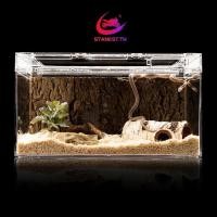 ราคา Stanest Bearded Dragon Hide Cave Safe Gecko Hides ประดิษฐ์ Birch Log สําหรับเต่า (41068017759)