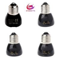 ราคา Stanest เซรามิคความร้อนโคมไฟสัตว์เลื้อยคลานความร้อน Emitter โคมไฟสัตว์เลี้ยง Coop เครื่องทําความร้อนสําหรับสัตว์เลื้อยคลานขนาดเล็ก Chick Lizard สําหรับเต่า Br (25446868616)