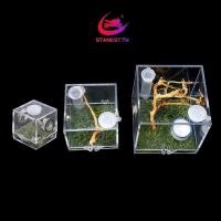 ราคา กรงป้อนอาหาร Stanest Spider Habitat กล่องเพาะพันธุ์โปร่งใสอะคริลิคพร้อมป้อนอาหารด้านบน (24938931622)