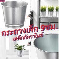 ราคา กระถาง กระถางเล็ก กระถางดอกไม้ บีนเช กระถางต้นไม้ กัลวาไนซ์ 9 ซม BINTJE Plant pot galvanised 9 cm (14917091493)