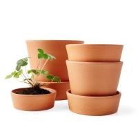 ราคา Plant pot with saucer กระถางต้นไม้ กระถางดอกไม้ Flower pot กระถางดินเผา INGEFÄRA กระถางดินแดง กระถางพร้อมจานรองดินเผา (3147789271)
