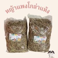 ราคา หญ้าแพงโกล่าสีทอง แพงโกล่าแห้ง (19631908553)