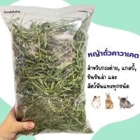ราคา หญ้าถั่วคาวาเคต เหมาะสำหรับเป็นของกินเล่น หรือ ของรางวัล สำหรับกระต่าย เเพรี่ ด็อก ชินชินล่า หนูแกสบี้ (8744405967)
