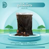 ราคา ปุ๋ยมูลไส้เดือนแท้ 100 ไม่มีส่วนผสมอื่นมูลไส้เดือนอย่างเดียวล้วน (42025543263)