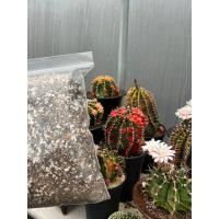 ราคา ดินปลูกแคกตัสพร้อมปลูก1kg 1000g สำหรับปลูกแคกตัส กระบองเพชร ไม้อวบน้ำ สูตรผสมพร้อมใช้ (42565143391)