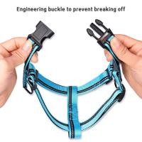 ราคา หมาแบบรัดอก Dogharness สายจูง เรืองแสงที่มืด เชือกจูง (56000576026)