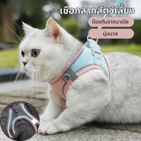 ราคา สายจูงสัตว์เลี้ยง เสื้อหมา เสื้อรัดอก สายจูง M L พร้อมแถบสะท้อนแสง เกรดพรีเมี่ยม เสื้อแมว (45051496519)