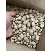 ราคา เมล็ดพันธุ์ถั่วครกถั่วโบราณ คัดคุณภาพพิเศษคละไซร์ 1ชุดมี15เมล็ด (28971037764)