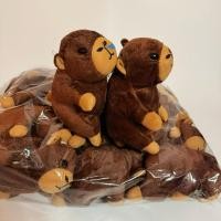 ราคา ตุ๊กตาแจกของขวัญ ยกโหล ตุ๊กตาแจกเด็ก ตุ๊กตาแจกงานเลี้ยง คาปิบาร่า (42952309736)