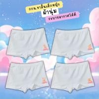 ราคา กางเกงในเด็ก กางในมีขาสั้น เด็กหญิง ลายการ์ตูนสัตว์น่ารัก ยืดหยุ่นเบาสบายไม่เข้าวิน 2 12 ปี 2 (26663702990)