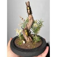 ราคา นำเข้าตกแต่ง Indonesia Gold Shovel ด้วงคีมเขียวทอง งานสตัฟแท้ สีหายากจากอินโดนีเซีย สวยดุดันในแบบธรรมชาติ (43211377043)