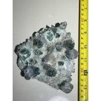 ราคา หินโชว์1kg green plantim quartz ผลึกเก่าพลังงานสูงมาก กลุ่มคริสตัลควอตซ์สีเขียว ซึ่งโดดเด่นด้วยรูปลักษณ์ที่เป็นเอกลักษณ์ (42903126415)