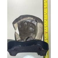 ราคา ซุยเซอินำเข้าญี่ปุ่น ไม้กลายเป็นหิน เป็นฟอสซิลชนิดหนึ่งที่เกิดขึ้นเมื่อวัสดุอินทรีย์ถูกแทนที่ด้วยแร่ธาตุ สำหรับนักสะสม (41253126373)