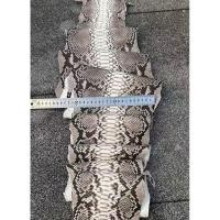 ราคา นำเข้า สะสมหายาก หนังงูแท้คุณภาพสูง ขนาดยาวพิเศษ ขนาด กว้าง 25 cm x ยาว 295 cm ลายธรรมชาติ หายาก สวยหรู (40907062974)