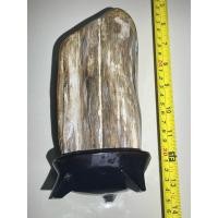 ราคา ซุยเซอินำเข้าญี่ปุ่น ไม้กลายเป็นหิน เป็นฟอสซิลชนิดหนึ่งที่เกิดขึ้นเมื่อวัสดุอินทรีย์ถูกแทนที่ด้วยแร่ธาตุ สำหรับนักสะสม (41853116323)