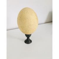 ราคา นำเข้า ขาย Antique Ostrich Egg 1970s บนถ้วยวินเทจดีบุกแท้ ของสะสมหายาก มีเอกลักษณ์เฉพาะตัว ไข่นกกระจอกเทศโบราณ (40909271859)