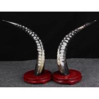 ราคา นำเข้า Premium Item Black Yak Horn Spiral Carved 46 50 cm เขายัคดำแกะสลักเกลียว สวยหายาก ของขวัญเปิดกิจการใหม่ (40457506930)