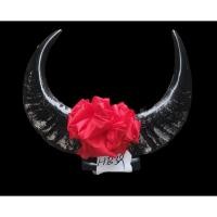 ราคา นำเข้าตกแต่งสวยงาม เขาควายน้ำแท้ สีดำ ขนาด 39 ซม พร้อมโบว์ตกแต่ง เขาควายน้ำแท้ Black Buffalo Horn สีดำธรรมชาติ (29688402334)