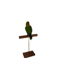 ราคา หายาก สตัฟฟ์ Fischer s Lovebird Emerald Green นกเลิฟเบิร์ดฟิชเชอร์ สีEmerald Greenเขียวมรกต หายากสีโดดเด่นไม่ซ้ำใคร (27887897863)