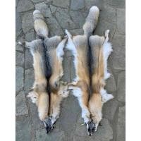 ราคา นำเข้าตกแต่ง Golden Fox Fur แท้ ขนาด 120cm Premium Grade Golden Island Fox ขนฟ็อกซ์แท้จากธรรมชาติ สีทองธรรมชาติ (26789245764)