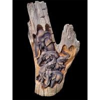 ราคา งานแกะสลักไม้สักเก่า ช้าง 5 ตัว ชิ้นใหญ่ สวยคลาสสิก ตั้งได้ แขวนได้ ชิ้นงานแกะสลักไม้สักเก่าคุณภาพสูง ลวดลายช้าง5ตัว (24845682083)