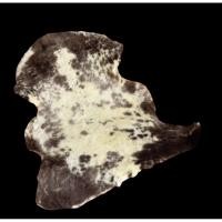 ราคา นำเข้าคัดลายสวย New Zealand Natural Sheep Fur Blanket ขนแกะแท้ธรรมชาติทั้งผืน ขนาด 100cm ความนุ่มหรูระดับพรีเมียม (43461628072)