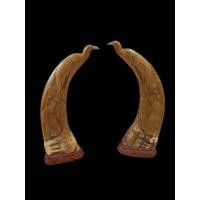 ราคา นำเข้าตกแต่ง เขาควายเผือกแกะสลัก เขาคู่ ใหญ่ พร้อมฐานไม้สักแท้ งานธรรมชาติหายาก สภาพสวยสมบูรณ์ (42311367287)