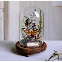 ราคา โหลผีเสื้อ Tiger Spotted ขนาดรอบวง 12 ซม สูง 19 ซม ความงดงามที่ผสมผสานความอ่อนโยนกับพลังแห่งธรรมชาติ (42056741449)