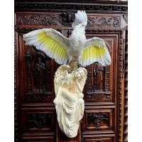 ราคา White cockatoo umbrella taxidermy Cacatua alba หรือที่รู้จักกันในชื่อ นกกระตั้วร่ม เป็นนกกระตั้วลำตัวสีขาว (27781712018)