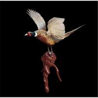ราคา นำเข้า หายากสะสม สตัฟฟ์แท้ Ring necked Pheasant นกฟีนีแซนต์คอขาว กางปีกบิน สำหรับคนรักนกและนักสะสม สวยงามมาก (41807216720)