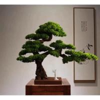 ราคา นำเข้า บอนไซต้นสนจำลอง นำเข้าจากญี่ปุ่น วัสดุพรีเมียม ขนาดใหญ่ 1 0 1 2 ม เพิ่มบรรยากาศสงบ เรียบหรู (45051127613)
