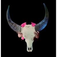 ราคา นำเข้า เขาควายคาราบาว ขนาดใหญ่ ทรงสวยสมบูรณ์ ของแต่งบ้าน ของสะสมแนววินเทจ เรโทร สวยดิบ (24847336219)