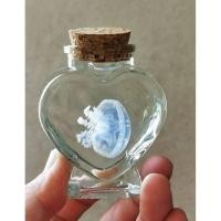 ราคา นำเข้า Preserved Jellyfish in Heart Bottle แมงกะพรุนแท้จากปาปัว บรรจุในขวดหัวใจ Wet Specimen สไตล์ Oddities (54801536893)