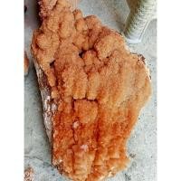 ราคา นำเข้า หินแคลไซต์ Calcite Crystal สี น้ำตาลประกายระยิบระยับ ขนาดใหญ่พิเศษ น้ำหนัก 35 5 กิโลกรัม (47101075626)