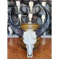 ราคา เขาควายคาราบาวแท้ คัดพิเศษ สวยงาม ดุดัน ดิบมีเอกลักษณ์ เขาทรงสวย โค้งได้รูปตามธรรมชาติ ผ่านการคัดเกรดอย่างพิถีพิถัน (29543138092)