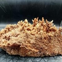 ราคา ผลึกแร่ Calcite ทรงสวย น้ำหนัก 1 8 กิโลกรัม แร่ Calcite แคลไซต์ ผลึกแท้ธรรมชาติ (54200274484)