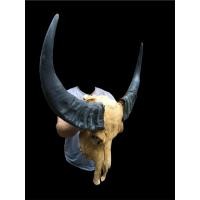 ราคา นำเข้า เขาควายคาราบาว ขนาดใหญ่พิเศษ ทรงสวยสมบูรณ์ ของแต่งบ้าน ของสะสมแนววินเทจ เรโทร สวยดิบ เท่ มีเอกลักษณ์ (43572836635)