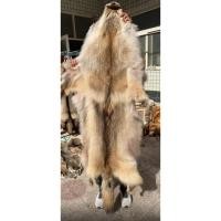 ราคา นำเข้า หนังหมาป่าโคโยตี้ Coyote แบบทั้งผืน ขนาดใหญ่ 1 6 เมตร งานหนังโคโยตี้ ขนาดใหญ่ ยาว 1 6m งานตกแต่งและสะสม (43972519296)