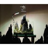 ราคา นำเข้า Terrarium สั่งทำ ออกแบบตามสไตล์ของคุณ งานจัด Terrarium Bonsai Layout Model Aquarium Decor (46051938277)