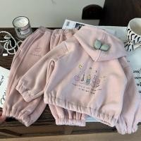 ราคา เสื้อกันหนาวสำหรับเด็กสไตล์เกาหลี ฤดูใบไม้ร่วงและหนาว พร้อมขนแกะและกางเกงวอร์ม (48751261436)